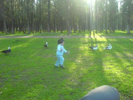 Romayssaa
